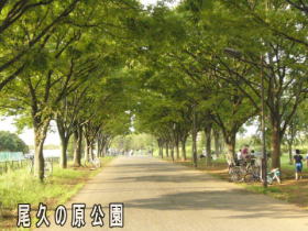 尾久の原公園の防災指定
