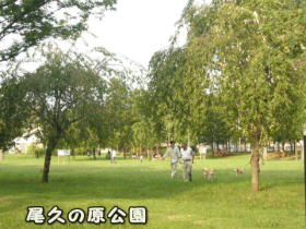 尾久の原公園