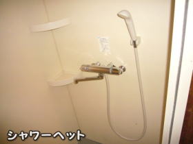 シャワーヘット