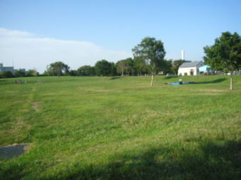 �L��Ȍ���