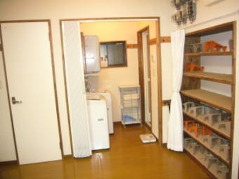 �V�����[���O