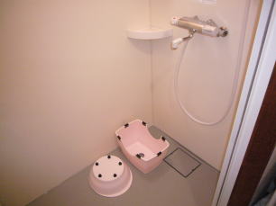 �P�K�V�����[���̗l�q