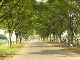 �N���b�N�Ŏ��̃y�[�W��